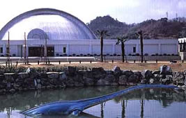 世界で唯一のカブトガニの博物館（岡山県笠岡市）